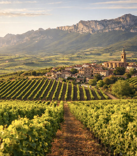 Friday 13th November. 7pm. Discover Rioja with Alex Baudouin